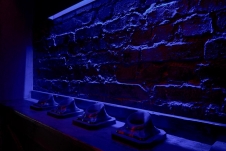 Квест «Гарри Поттер» в Воронеже